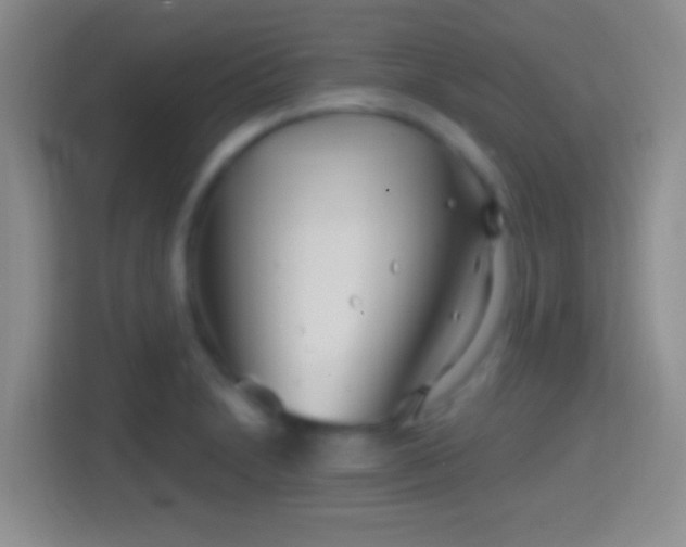 X0000114401230200910231103