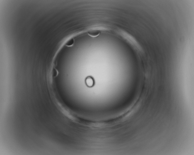 X0000114401236200910231103