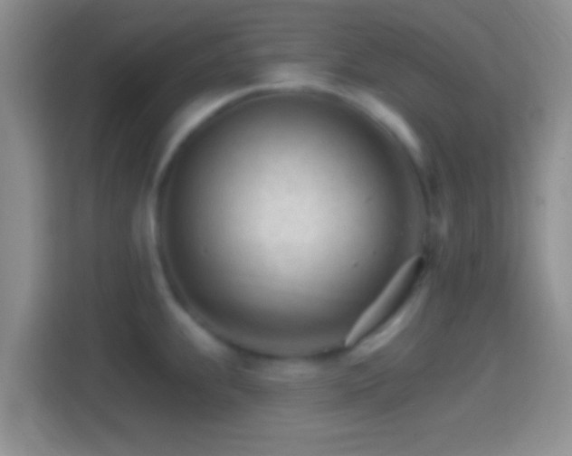 X0000114401239200910231103