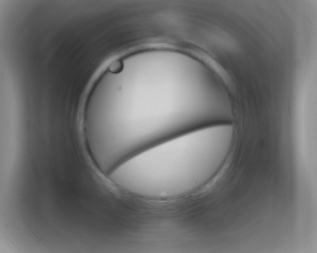 X0000114401240200910231103