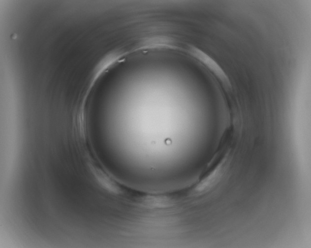 X0000114401242200910231103