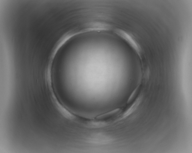 X0000114401243200910231103