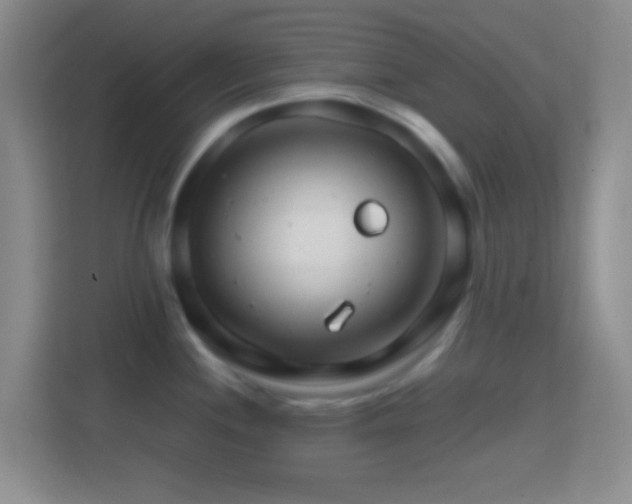 X0000114401244200910231103