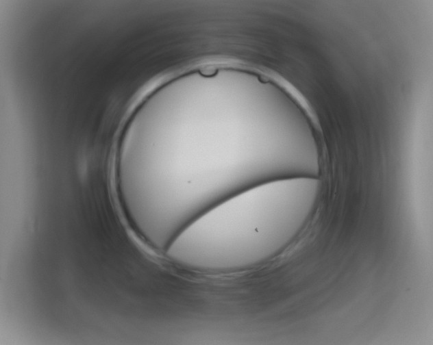 X0000114401245200910231103