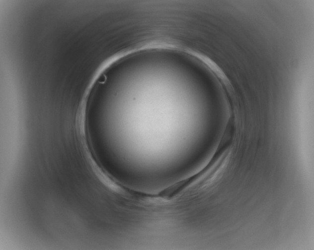 X0000114401246200910231103