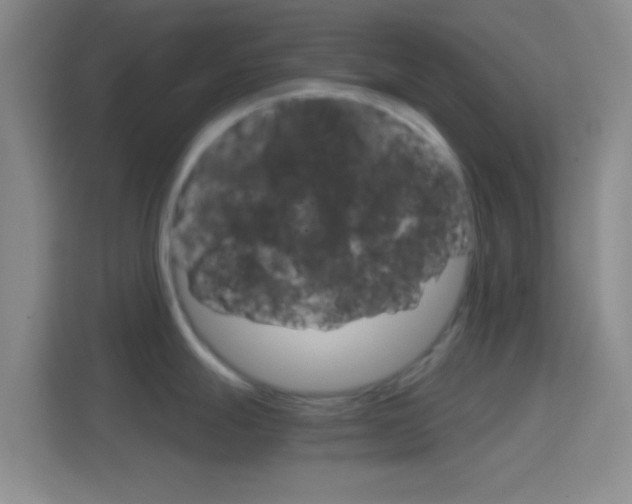 X0000114401247200910231103