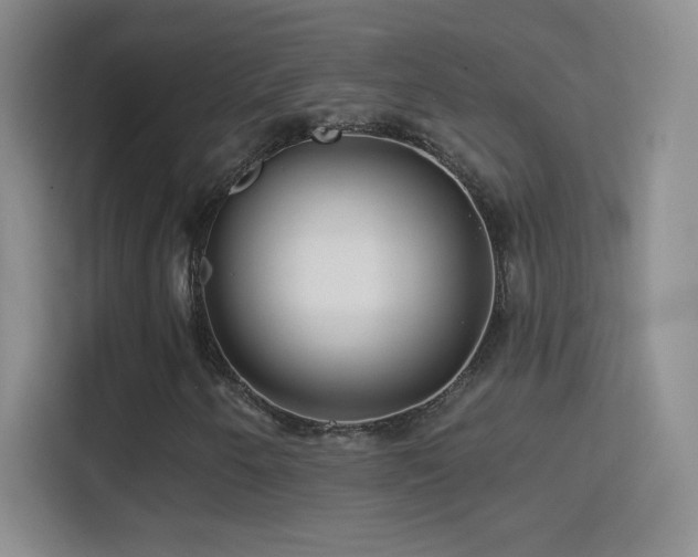 X0000114401250200910231102