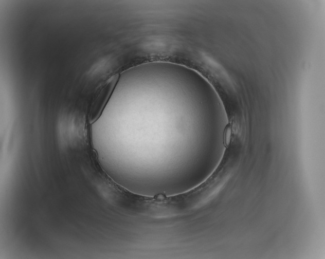 X0000114401252200910231102