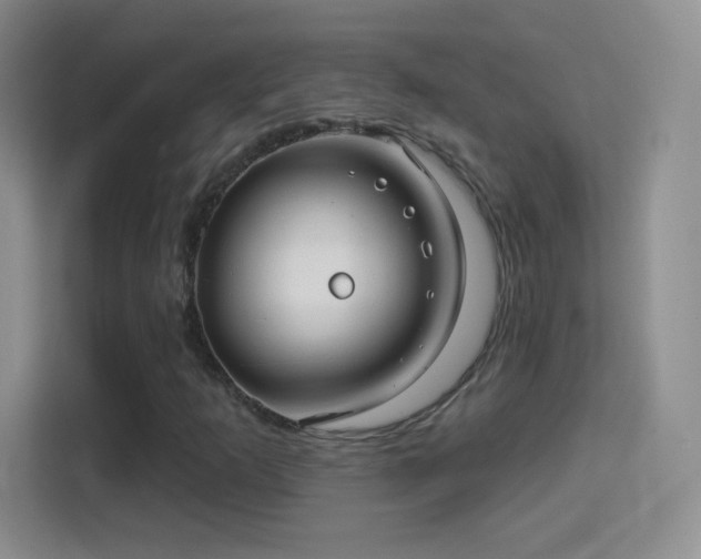 X0000114401253200910231102