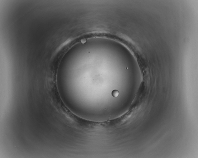 X0000114401255200910231102