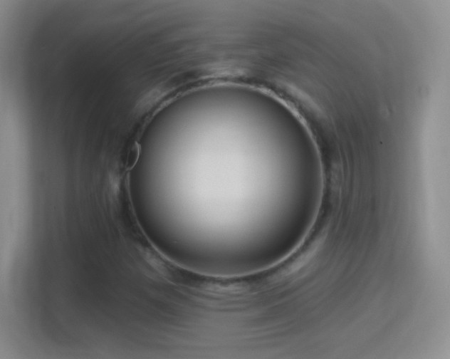 X0000114401257200910231102