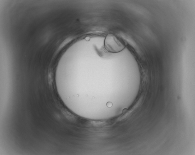 X0000114401258200910231102