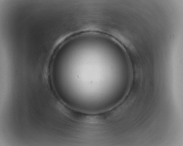 X0000114401264200910231102