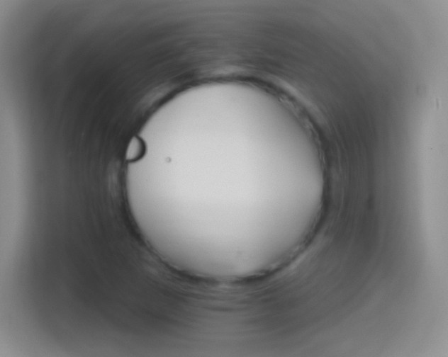 X0000114401265200910231102