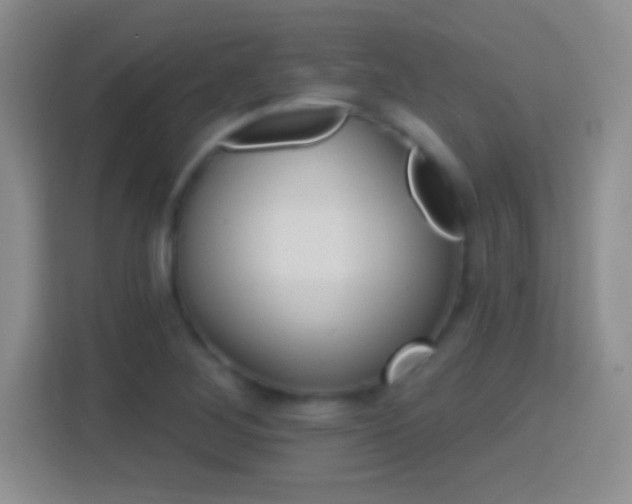 X0000114401268200910231102