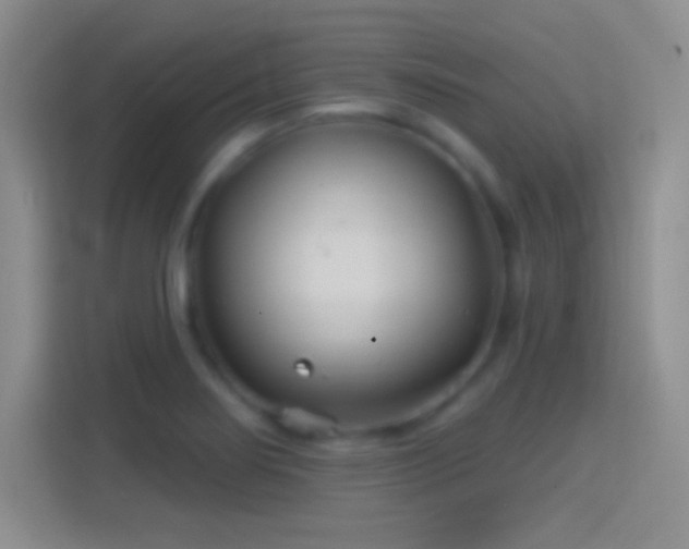 X0000114401274200910231102