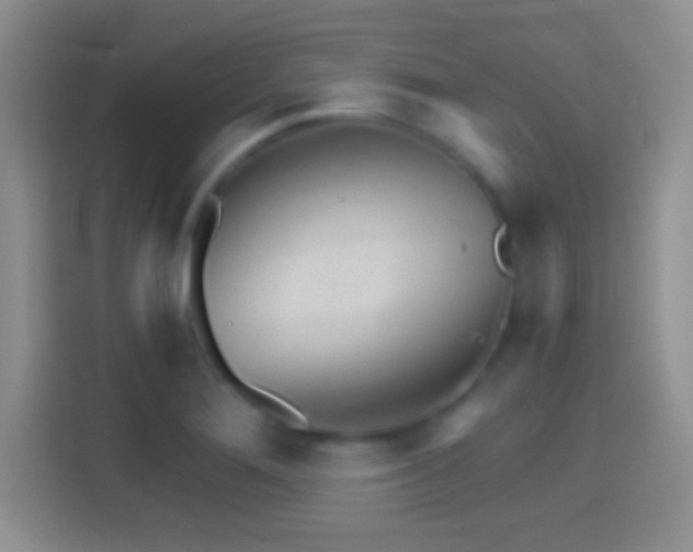 X0000114401276200910231102