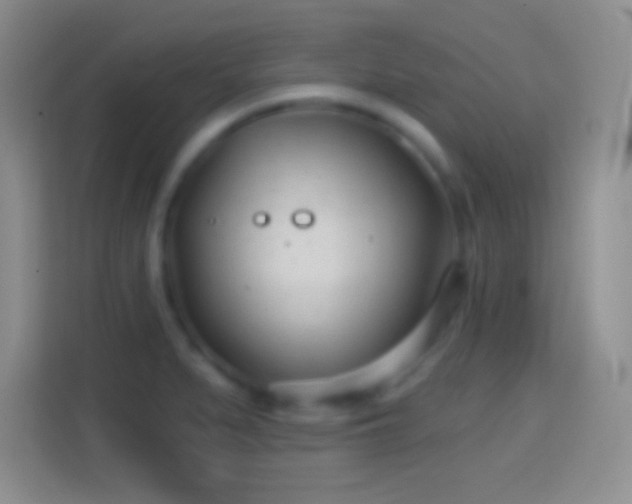 X0000114401279200910231102