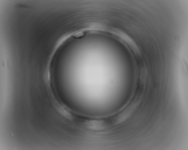 X0000114401280200910231102