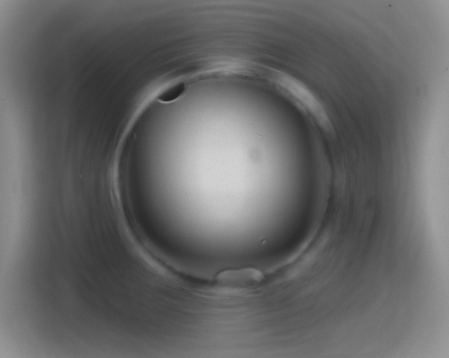 X0000114401283200910231102