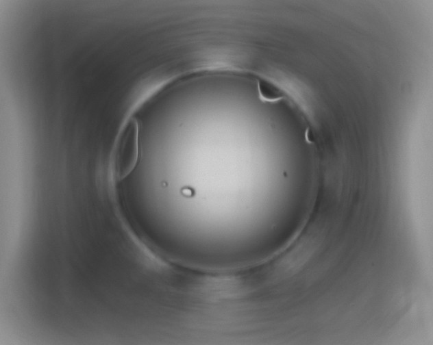 X0000114401285200910231102