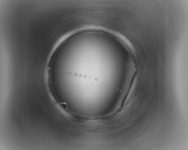 X0000114401287200910231102