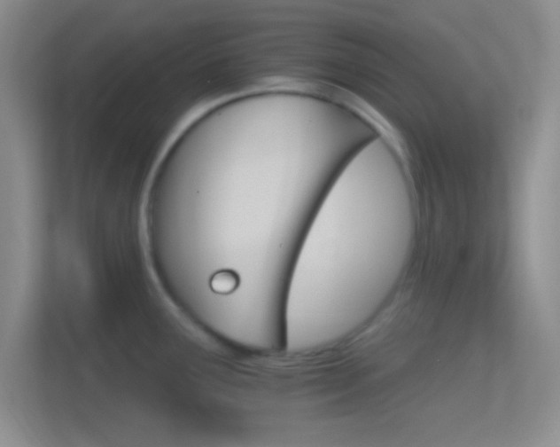 X0000114401291200910231102