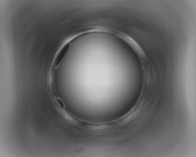 X0000114401292200910231102