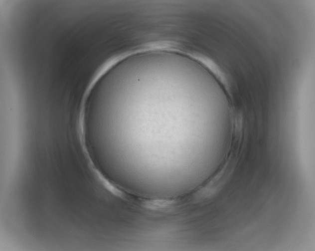 X0000114401294200910231102