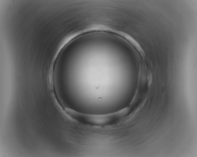 X0000114401295200910231102