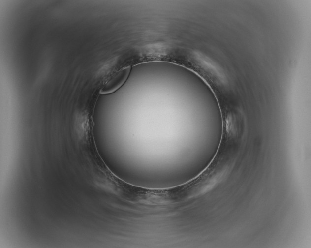 X0000114401299200910231101