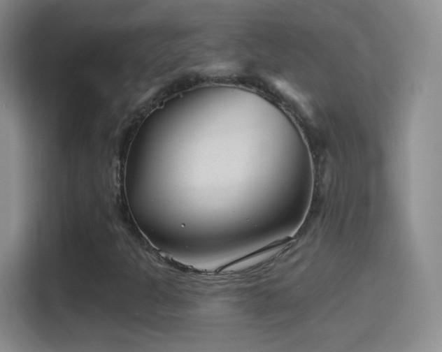 X0000114401301200910231101