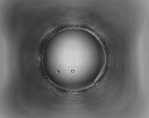 X0000114401302200910231101