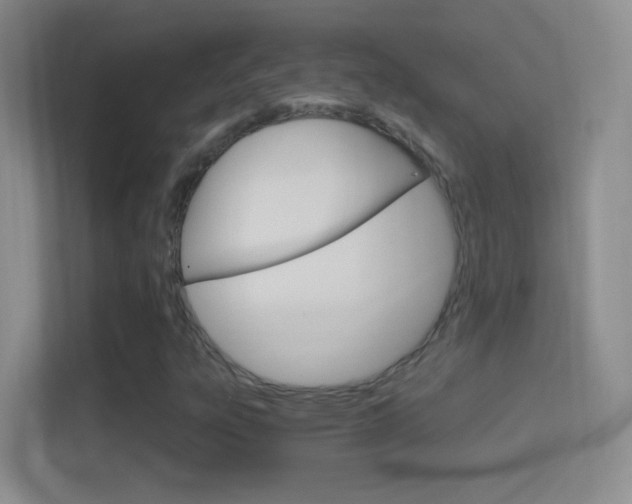 X0000114401303200910231101