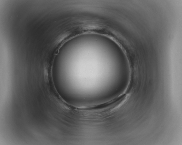 X0000114401305200910231101