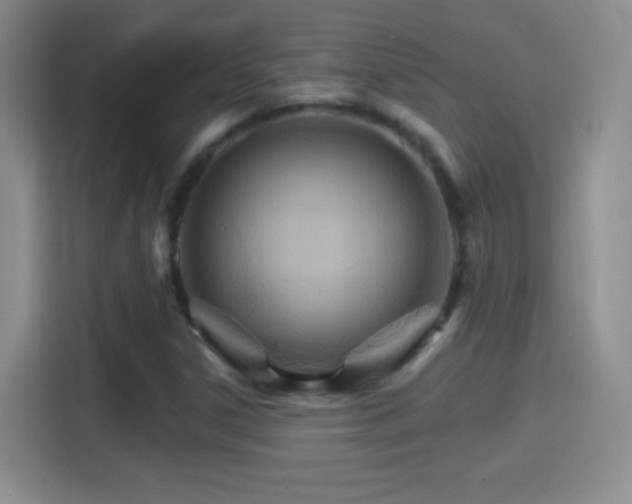 X0000114401306200910231101