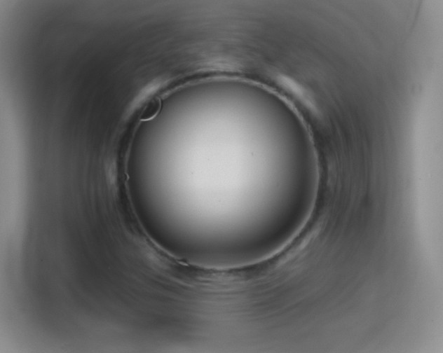 X0000114401307200910231101