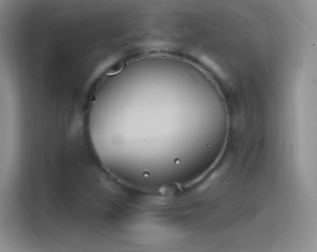 X0000114401309200910231101