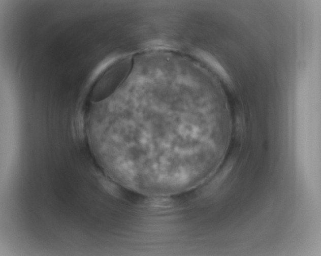 X0000114401310200910231101