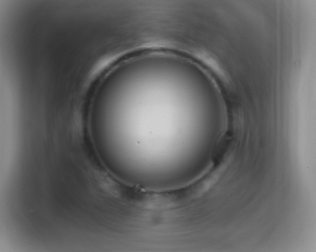 X0000114401311200910231101