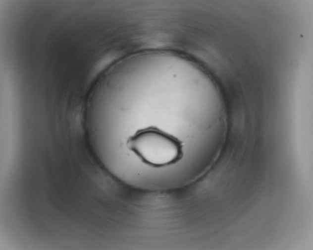 X0000114401314200910231101