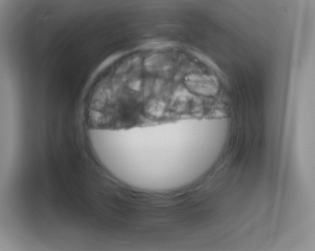 X0000114401315200910231101