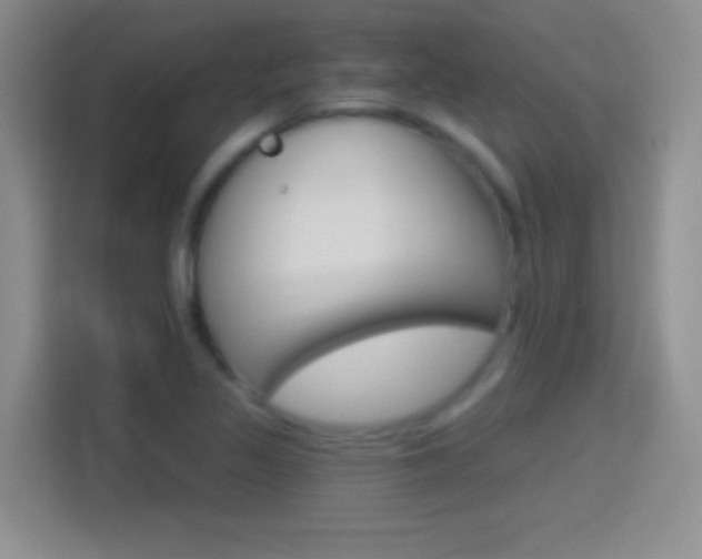 X0000114401317200910231101