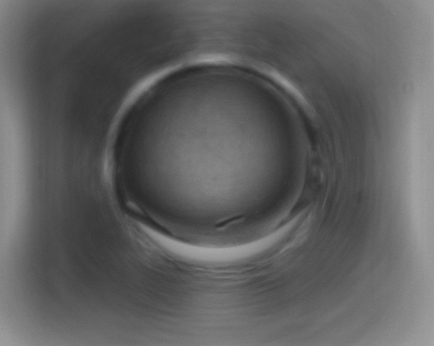 X0000114401319200910231101