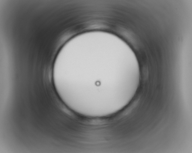 X0000114401322200910231101