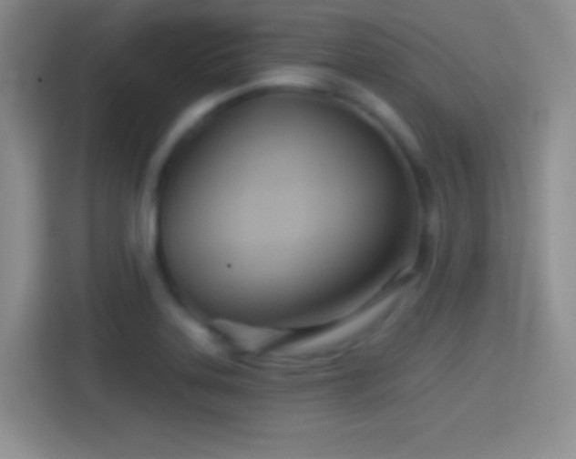 X0000114401323200910231101