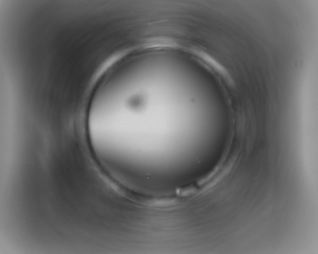 X0000114401325200910231101