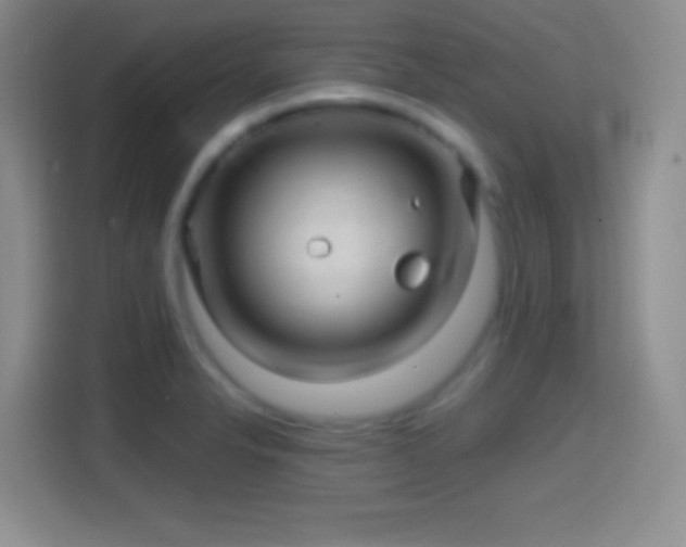 X0000114401326200910231101