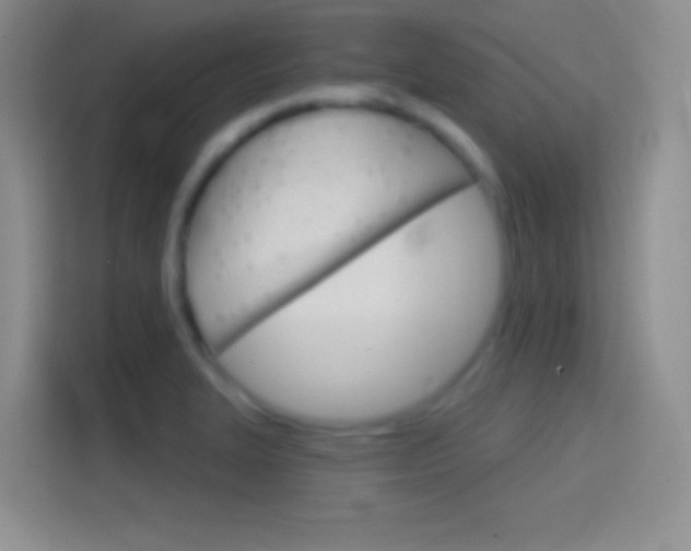 X0000114401327200910231101