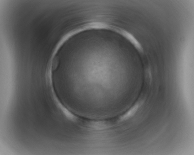 X0000114401334200910231102